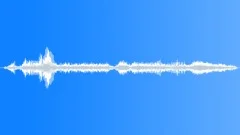 Hummingbird wingsSound Effect