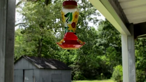 Hummingbirds feeding Stock Footage 76227683