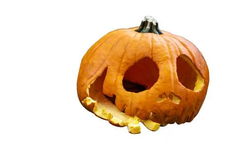 Humorous orange pumpkin squashed down with big eyes 写真素材