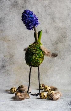 Humourous springtime Easter decoration with a hyacinth and quail eggs Stock Photos