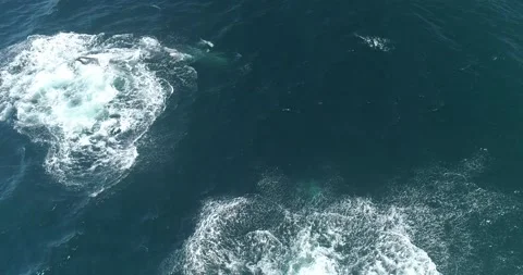 Humpback Aerial Stock Footage 163546931