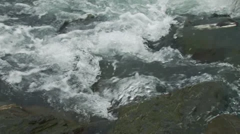 Humpback Salmon Fighting Upstream Rapids Whitewater Stock Footage 12441391