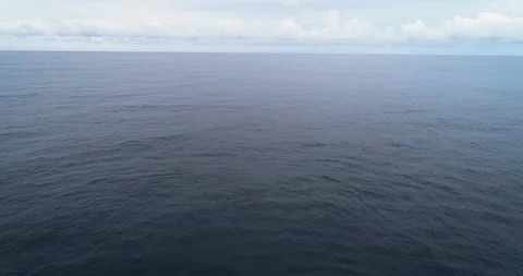 HUmpback Whale Breach 4K Video stock 98633472