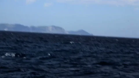 Humpback Whale Breach (Jump) 스톡 동영상 330149402