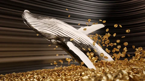 Humpback whale Breaching bitcoin Vidéo 204120974