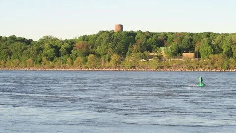 Humpback whale jumping 库存影片 140957968