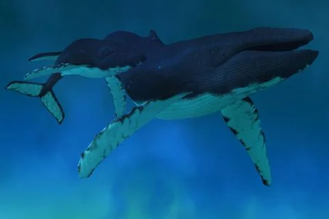 Humpback whale ocean Stock Illustration