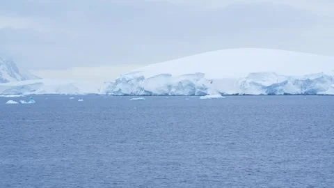 Humpback Whale Tail Dives in Antarctica Scenic Cruise Whale Watching Stock Footage 277918775