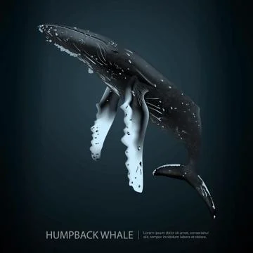 Humpback Whale Under the Sea Vector Illustration Illustrazione stock