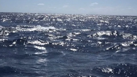 Humpback whale waves fin hello out of water in ocean. Stockbeeldmateriaal 110924081
