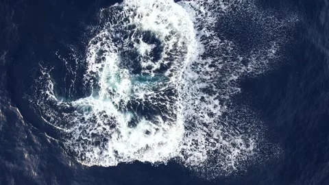 Humpback Whales from above Vidéo 246354912