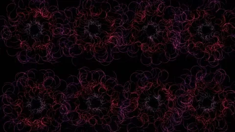 Humper Stock Footage 143596260