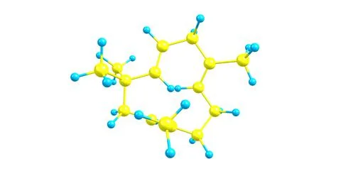 Humulene molecular structure isolated on white Stock Illustration