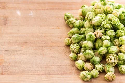 Humulus Lupulus Foto stock