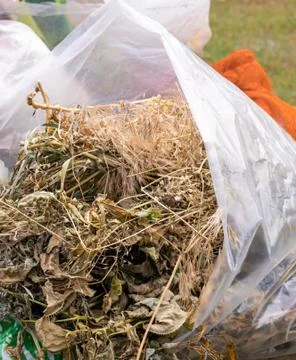 Humus and compost is put in a bag and stands in the yard. 스톡 사진
