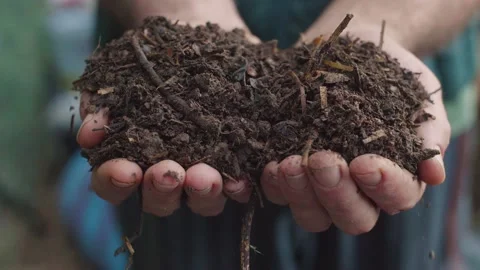 Humus, fertilized soil, compost soil. Man hands holding compost, organic soil Stock Footage 159028024