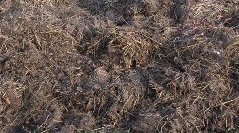 Humus manure with grass Stock Footage 37044053