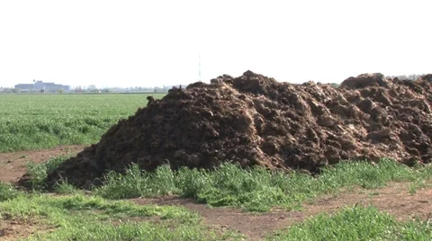 Humus manure with grass Видео 37256417