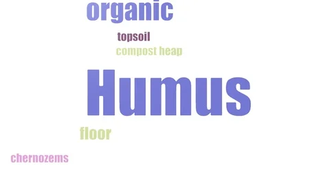 Humus Wordcloud Animated On White Background Video stock 107219794