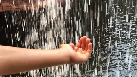 Hund under a waterfall Stock Footage 90811154