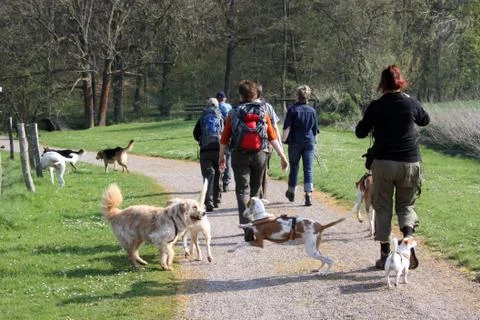 Hundewanderung Foto stock