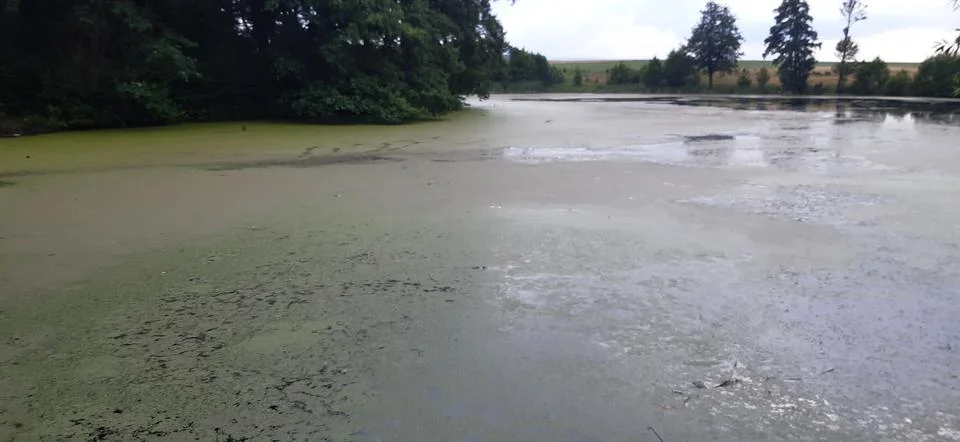 A hundred2 Stock Photos