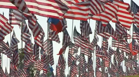 HUNDREDS OF AMERICAN FLAGS IN SLO-MO 6 Video stock 12159394
