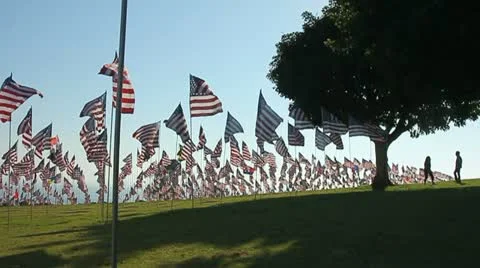 HUNDREDS OF AMERICAN FLAGS IN SLO-MO 2 Stock-Footage 12160814