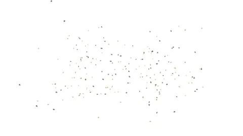 Hundreds of bees flying around creating a swarm Loop Green screen Background. Stock Footage 177939941