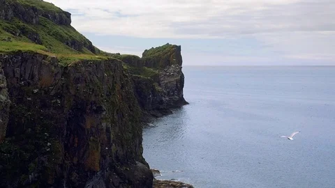 Hundreds of birds flying over dramatic rocks Stock Footage 87809843