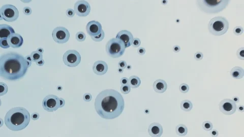 Hundreds of eggs, spawn or spores flying in the air. Sci-fi scene picturing some Stock Footage 226413767