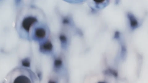 Hundreds of eggs, spawn or spores flying in the air. Sci-fi scene picturing some Stock Footage 226414121