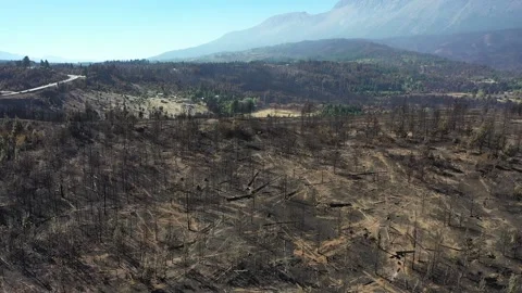 Hundreds of houses devoured by fire Stock Footage 155827270