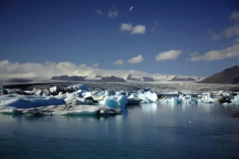 Hundreds of icebergs Stock Photos