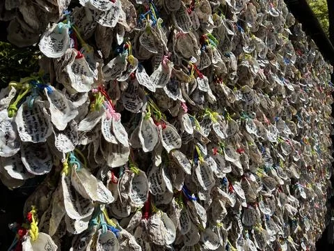 Hundreds of oyster shells hanging as prayer plaques (ema) at Hasedera Temple Stock Photos
