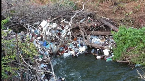Hundreds of plastic bottles piled up at a jam of logs and branches on a river Stock Footage 348073685