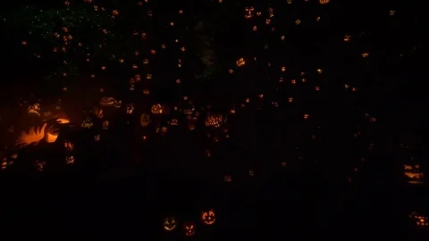 Hundreds of Pumpkin Jack-O'-Lantern Faces in the Dark Woods Stock Footage 81165609