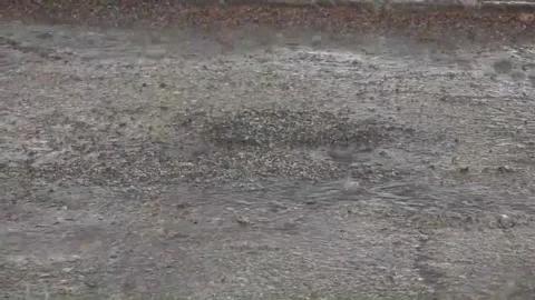 Hundreds queue for Bruce Springsteen's concert in Barcelona despite heavy rains, Stock Footage 239963613