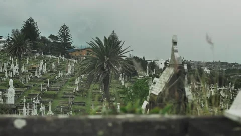 Hundreds of tombs seen through long grass in a cemetery dolly 4K Stock Footage 277233837