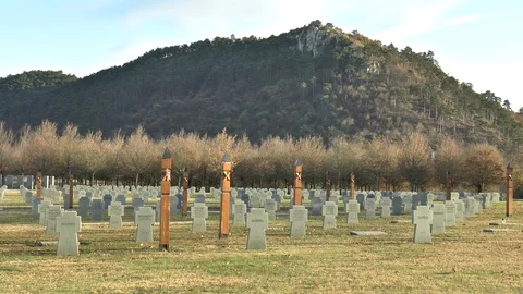 Hungarian Army War Graves Budapest World War 2 Stock Footage 101685528