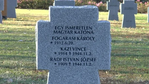 Hungarian Army War Graves Budapest World War 2 Stock Footage 101971098