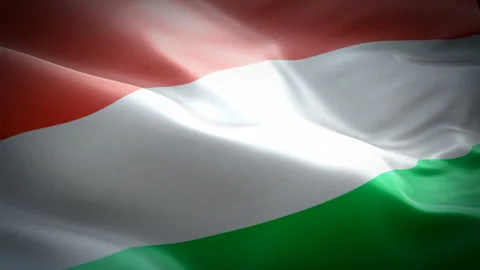 Hungarian flag Closeup 1080p Full HD 1920X1080 footage video waving in wind. Stock Footage 106355953