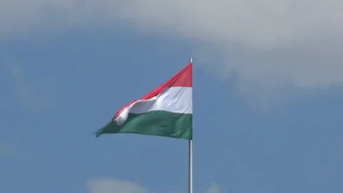 Hungarian flag Stock Footage 92093806