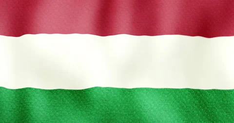 Hungarian Flag Stock Footage 150042023