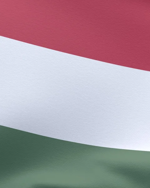 Hungarian flag Stock-Footage 289681729