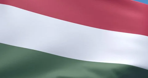 Hungarian flag Stock Footage 289682606