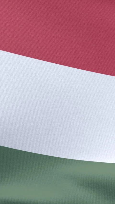 Hungarian flag Stock Footage 289683446