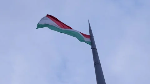 Hungarian flag Stock Footage 296391239