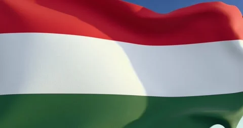 Hungarian flag Stock Footage 300206115