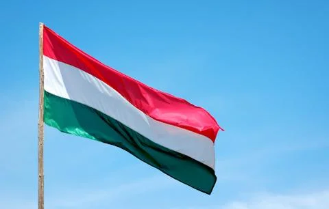 Hungarian flag Stock Photos